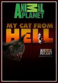 Адская кошка / My Cat from Hell