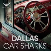 Акулы автоторгов из Далласа / Dallas Car Sharks