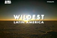 В дебрях Латинской Америки / WiLDEST Latin America