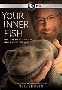 Внутренняя рыба / Your Inner Fish