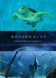 Голубые Багамы