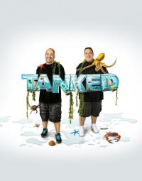 Аквариумный бизнес / Tanked