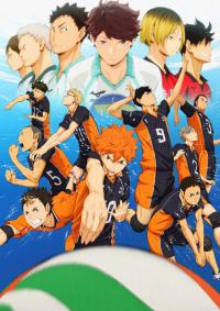 Волейбол!! / Haikyuu!!