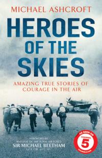 Воздушные асы войны / Heroes of the Skies