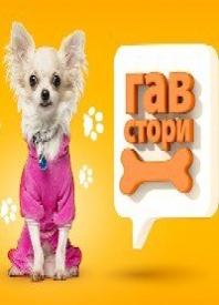 ГАВ-стори