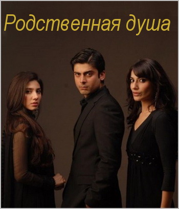 Родственная душа / Hamsafar / Пакистанский