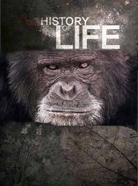 История жизни / History of life (2012)